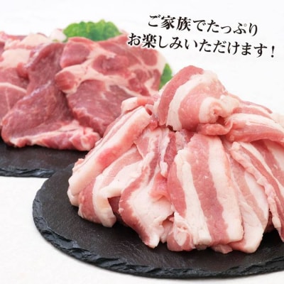JA糸島 糸島豚 焼肉 セット 肩ロース バラ 糸島市/JA糸島産直市場 伊都菜彩[AED004]