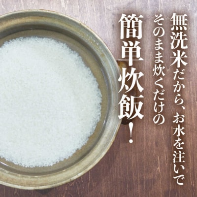 【無洗米】糸島のお米 夢つくし 「糸島美人」5kg 糸島市/伊都菜彩[AED014]