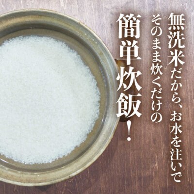 【無洗米】糸島のお米 夢つくし「糸島美人」10kg(5kg×2)伊都菜彩[AED017]