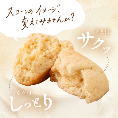 スコーンのイメージ が変わる! 定番 スコーン 12個セット  糸島市 [AFA001]