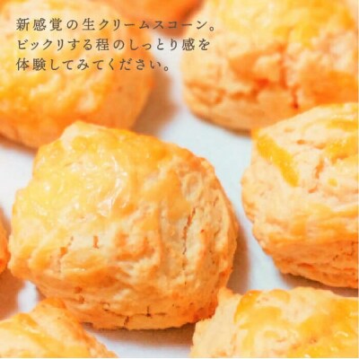 【自宅用】明太チーズスコーン12個セット 『ふくのや』の 明太子 使用 [AFA009]