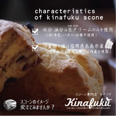 【贈答用】明太チーズスコーン 12個セット 糸島市/キナフク [AFA010]