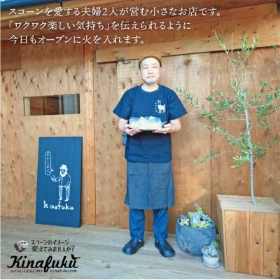 【贈答用】明太チーズスコーン 12個セット 糸島市/キナフク [AFA010]