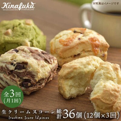 【全3回定期便】 スコーンのイメージ変えてみませんか?定番スコーン 12個セット [AFA013]