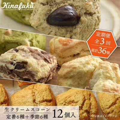 【全3回定期便】定番/季節のスコーン 12個セット   糸島市  [AFA015]
