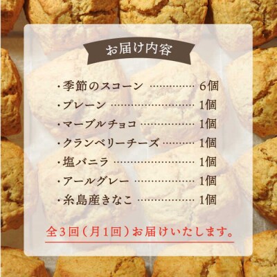 【全3回定期便】定番/季節のスコーン 12個セット   糸島市  [AFA015]