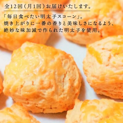 【全12回定期便】明太 チーズ スコーン 12個セット   糸島市  [AFA023]
