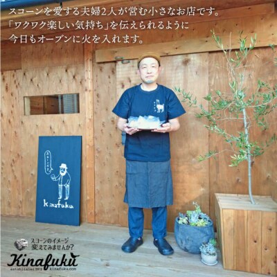 【全12回定期便】明太 チーズ スコーン 12個セット   糸島市  [AFA023]