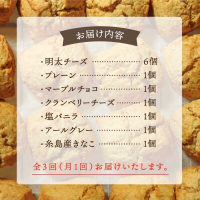 【全3回定期便】 定番スコーン + 明太チーズスコーン 計12個セット 糸島市 [AFA024]