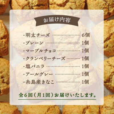 【全6回定期便】 定番スコーン + 明太チーズスコーン 計12個セット 糸島市 [AFA025]