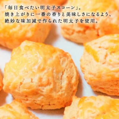 【全6回定期便】 定番スコーン + 明太チーズスコーン 計12個セット 糸島市 [AFA025]