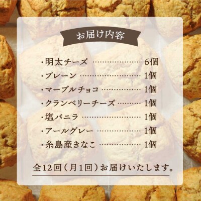 【全12回定期便】定番スコーン + 明太チーズスコーン 計12個セット 糸島市 [AFA026]