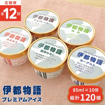 【全12回定期便】伊都物語 プレミアムアイス10個(5種×2個)セット[AFB026]