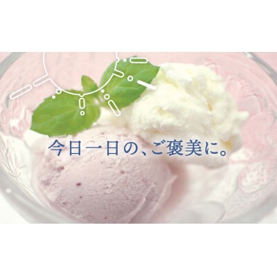 【全12回定期便】伊都物語 プレミアムアイス10個(5種×2個)セット[AFB026]