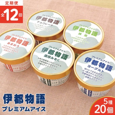 【全12回定期便】伊都物語 プレミアムアイス5種20個セット[AFB063]