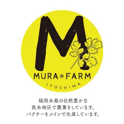 糸島産 パクチー 600g ( 100g × 6袋 )  [AFD001]