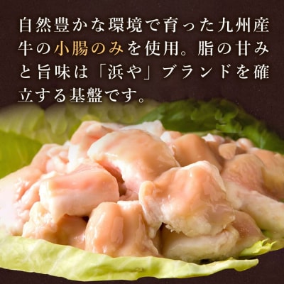 国産・完全 無添加 もつ鍋セット×2 (約 4人前) 白みそ味  [AFF002]