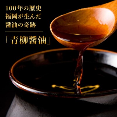 【全12回定期便】国産・完全 無添加 もつ鍋セット×2 (約4人前)しょうゆ味[AFF016]