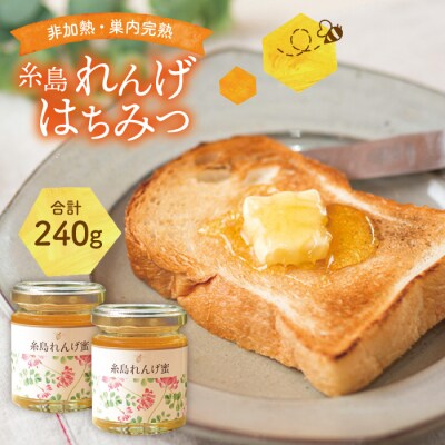 糸島れんげはちみつ120g×2【ヴァンベールフーズ】蜂蜜[AFJ003]