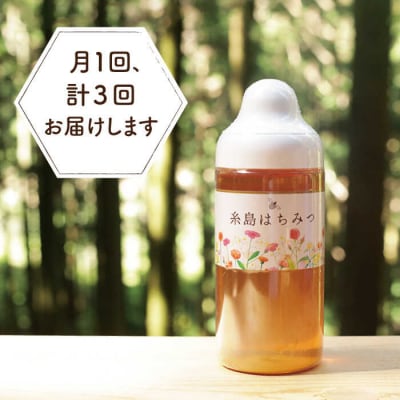 【全3回定期便】糸島 はちみつ 520g/ヴァンベールフーズ[AFJ005]