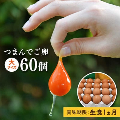 【プリップリ な 卵黄 !】 つまんでご卵 60個セット/緑の農園 たまご 卵 [AGA012]