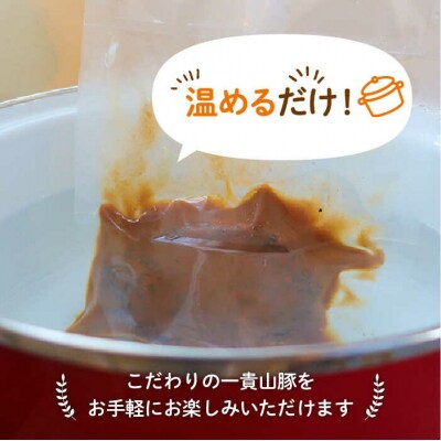 【全12回定期便】一貴山豚 とんバーグ 12個(6個×2種)いきさん牧場 [AGB015]