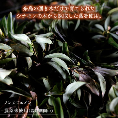 【全12回定期便】シナモンティー 2袋( 糸島産 シナモンリーフ 100%使用) [AGC013]