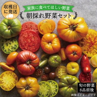 朝採れ糸島 野菜 セット ( 8品前後) [AGE003]