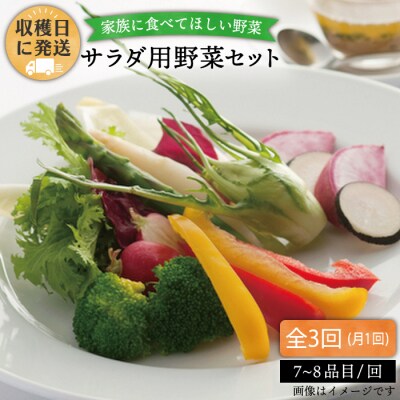 【全3回定期便】【福岡県糸島産】 朝採れ サラダ用 野菜 セット [AGE005]