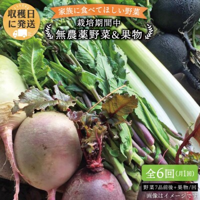 【全6回定期便】こだわり野菜( 7品前後 )セット+果物[AGE010]