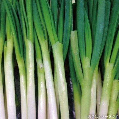 【全6回定期便】こだわり野菜( 7品前後 )セット+果物[AGE010]