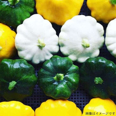 【全3回定期便】農薬化学肥料不使用 こだわり野菜セット オーガニックナガミツファーム[AGE016]