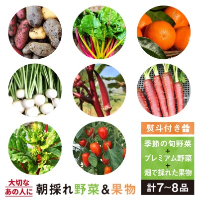 旬 野菜+プレミアム野菜+果物 セット 熨斗付き オーガニックナガミツファーム[AGE022]