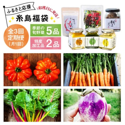 【全3回定期便】朝採りオーガニック旬野菜5品+糸島産 大ヒット特産加工品2品セット[AGE029]