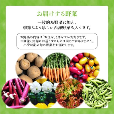 【全6回定期便】☆畑直送☆限定!栽培期間中農薬不使用!お米2kg&野菜5品セット[AGE037]
