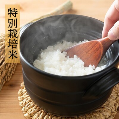 【全12回定期便】☆畑直送☆限定!栽培期間中農薬不使用!お米2kg&野菜5品セット[AGE038]