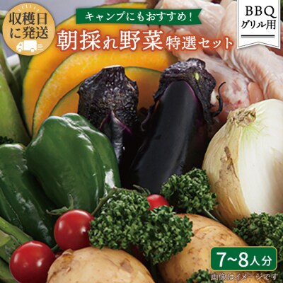 バーベキュー・グリル用朝採れ野菜特選セット 福岡県糸島産(7-8人分) [AGE039]