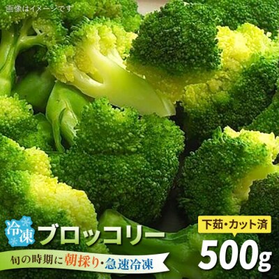 ブロッコリー500g 冷凍 旬の時期に急速冷凍 糸島産 オーガニックナガミツファーム[AGE043]