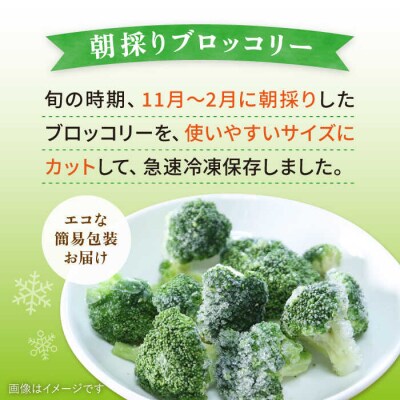 ブロッコリー500g 冷凍 旬の時期に急速冷凍 糸島産 オーガニックナガミツファーム[AGE043]