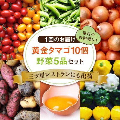 【全3回定期便】糸島の朝産み黄金タマゴ10個 朝どれ新鮮野菜5品セット 糸島産 [AGE047]