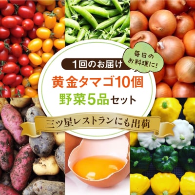 【全12回定期便】糸島の朝産み黄金タマゴ10個 朝どれ新鮮野菜5品セット 糸島産 [AGE049]