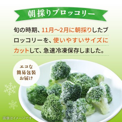 ブロッコリー 1kg 冷凍 旬の時期に急速冷凍 【福岡県糸島産】 [AGE053]