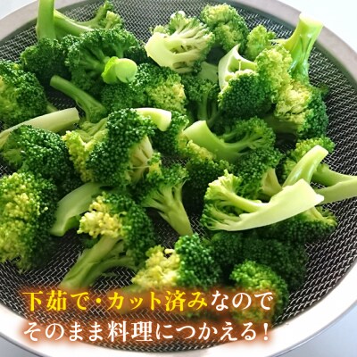 ブロッコリー 1kg 冷凍 旬の時期に急速冷凍 【福岡県糸島産】 [AGE053]