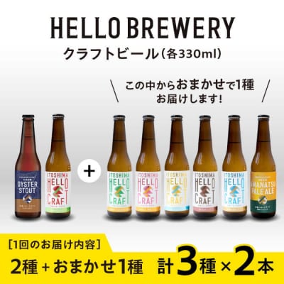 【全6回定期便】【 3種 飲み比べ 】糸島 クラフト ビール 瓶詰め合わせ6本セット[AGM003]