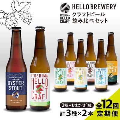 【全12回定期便】【 3種 飲み比べ 】糸島 クラフトビール 瓶詰め合わせ6本セット[AGM004]