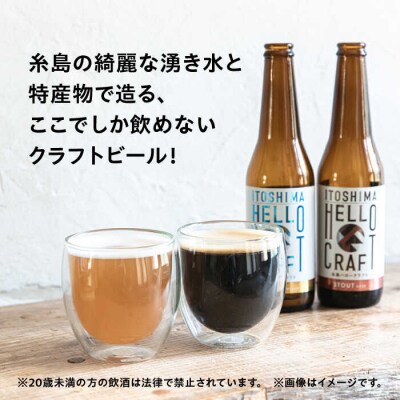【全12回定期便】【 3種 飲み比べ 】糸島 クラフトビール 瓶詰め合わせ6本セット[AGM004]