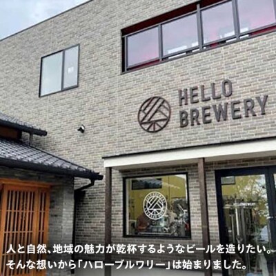 【全12回定期便】【 3種 飲み比べ 】糸島 クラフトビール 瓶詰め合わせ6本セット[AGM004]
