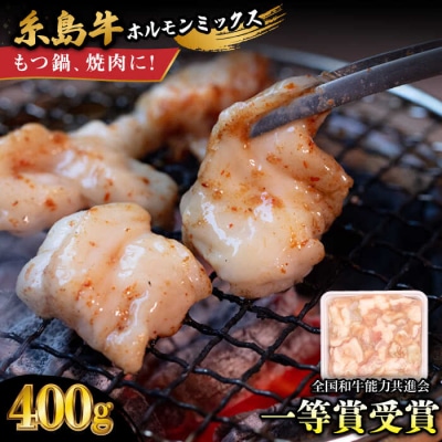 A4ランク 和牛 ホルモンミックス 400g もつ鍋 ホルモン焼き 糸島牛 [AGN005]