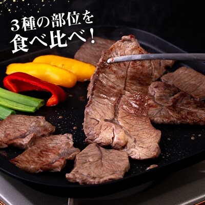 【3回定期便】焼肉3種 600g 2-3人前 肩ロース ミスジ モモ (カタ)  [AGN009]