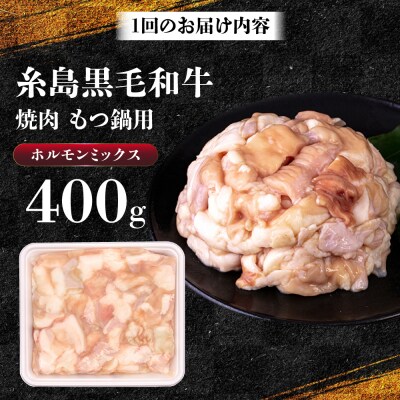【3回定期便】A4ランク 和牛 ホルモンミックス 400g[AGN011]